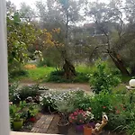 Efi's Apartament *
