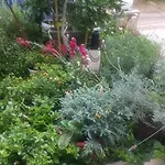 Apartament Efi's