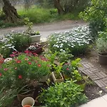Efi's Apartament Lefkáda