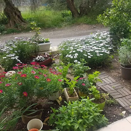 Efi's Lägenhet Lefkáda