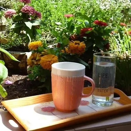 Apartment Efi's Lefkáda