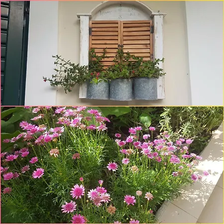 Efi's Лефкада