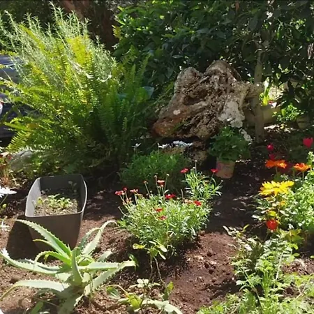 Efi's Лефкада