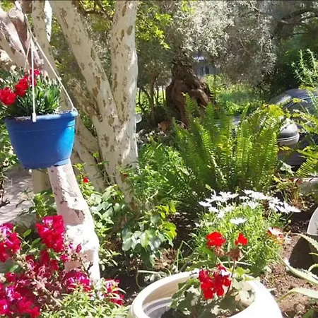 Efi's * Lefkada City