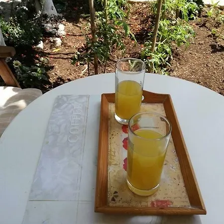 Efi's Apartment Lefkáda