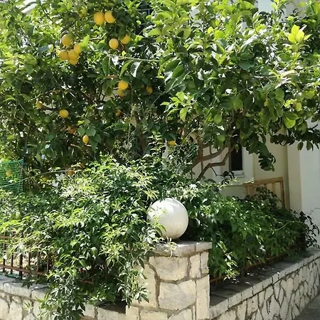Efi's Lefkada City
